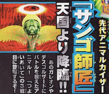 アニマルカイザー サンゴ師匠 激レア アニマルカイザー 究極レア