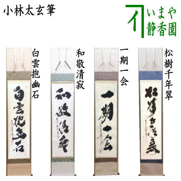 掛け軸 大徳寺 黄梅院 宮西玄性 筆 『 白雲抱幽石 』紙本 茶道具 掛軸