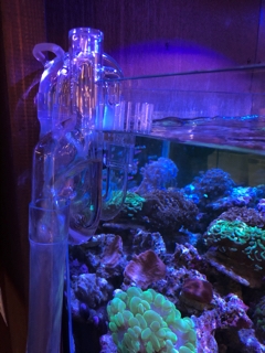 オーバーフロー水槽フラグラックセットサンゴ水槽