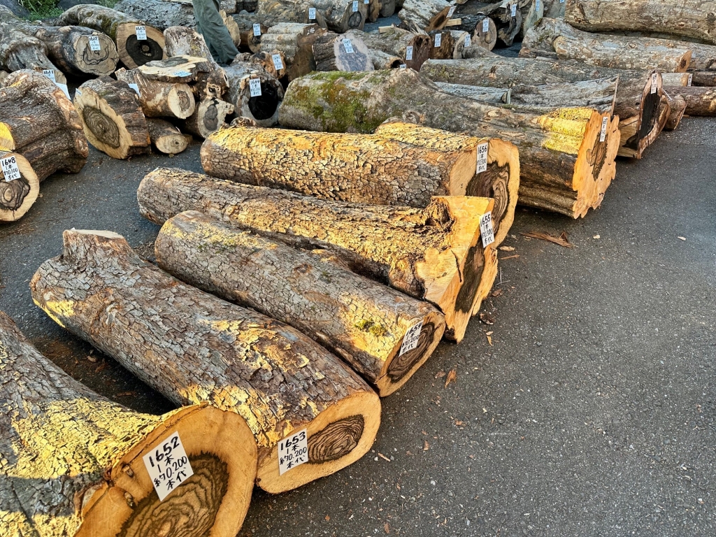 黒柿イコウ＊DIY材料 黒柿イコウ＊DIY材料