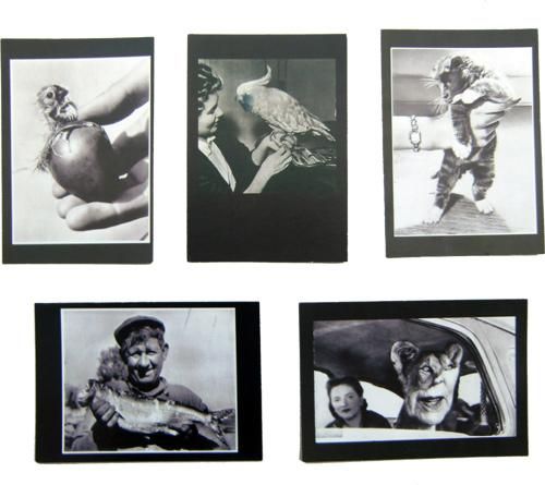 更新0803□GEE VAUCHER(a.k.a CRASS) OFFICIAL POSTER / POST CARD