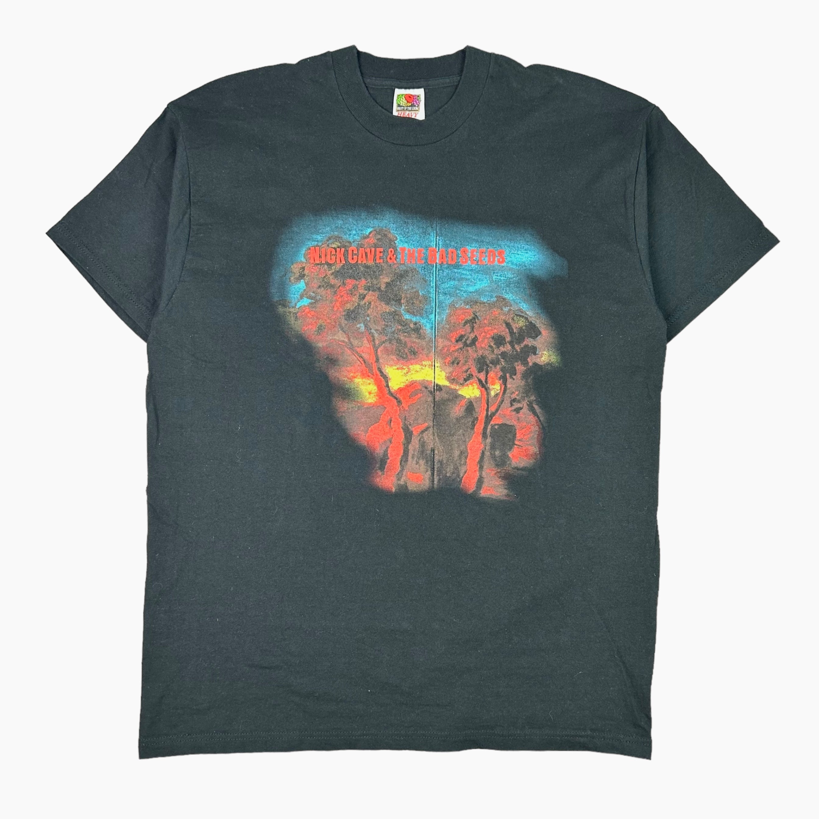 nick cave ニックケイブ 当時のツアーTシャツ ビンテージ nick cave