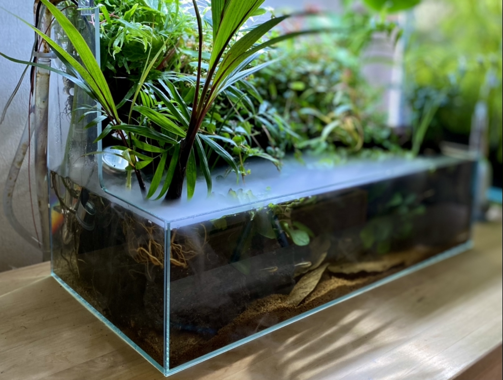 DOOA ミストフローを使ってみて - The Scaper's Room