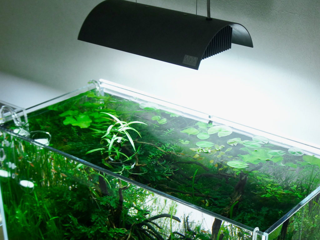 2021年にメタハラを買うのはあり? ADA ソーラーIのレビュー - The