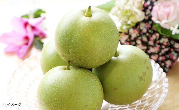 島根県益田市産「家庭用 旬の梨セット」5kg【クラチャレふるさとだより