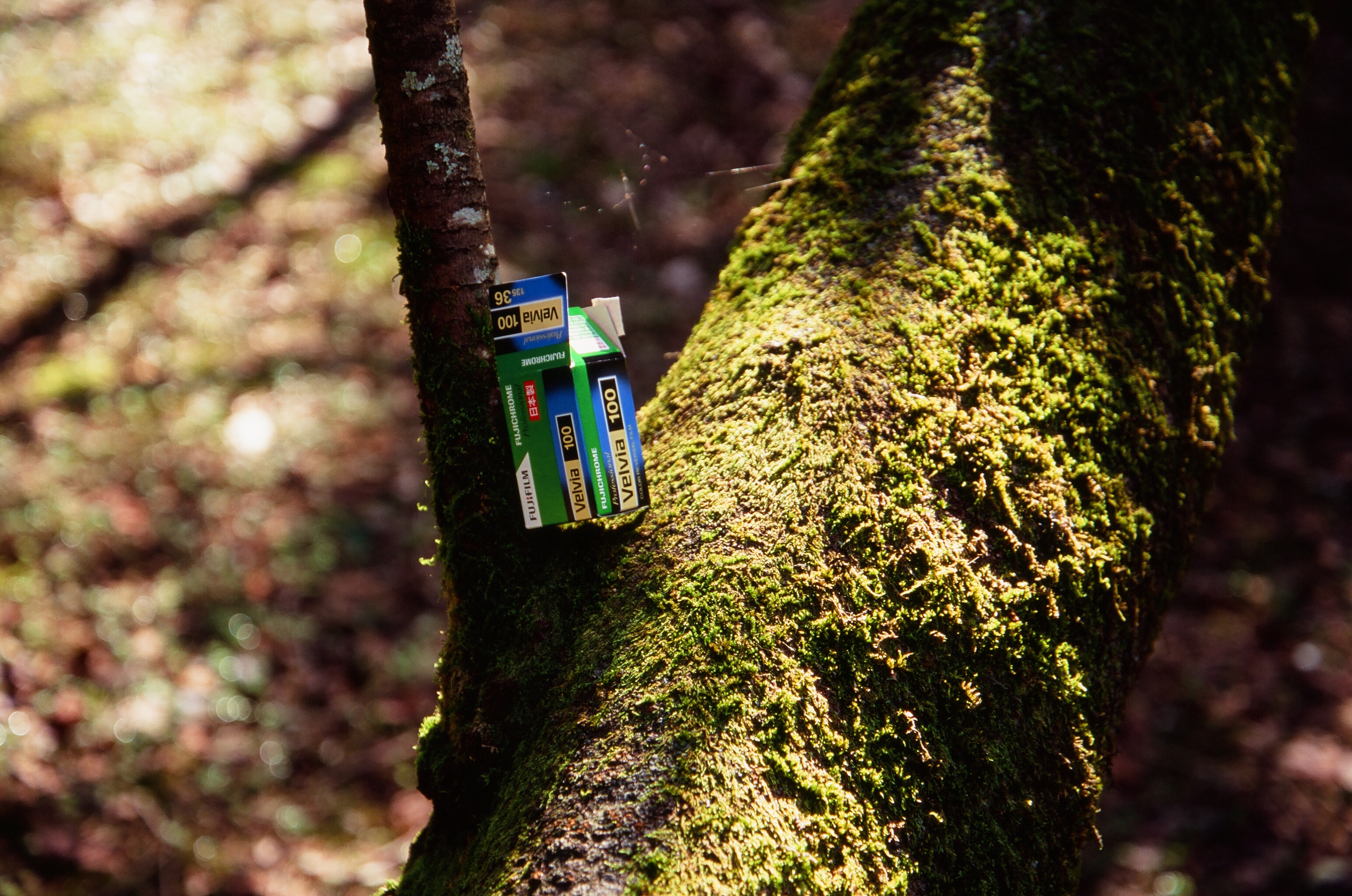 ありがとう、FUJI FILM。リバーサルフィルム3種類の試し撮りがあがっ