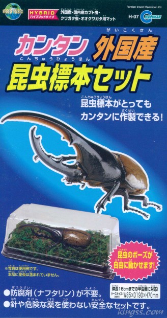 昆虫標本】ヘラクレスオオカブト♂(極太血統)132.8mm 学術型インテリア