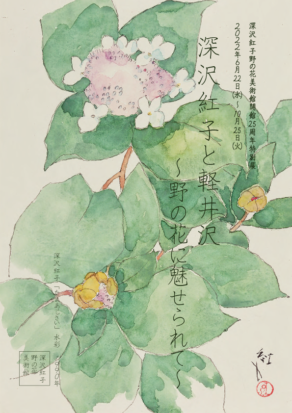 関連展示＞開館25周年特別展 「深沢紅子と軽井沢～野の花に魅せられて