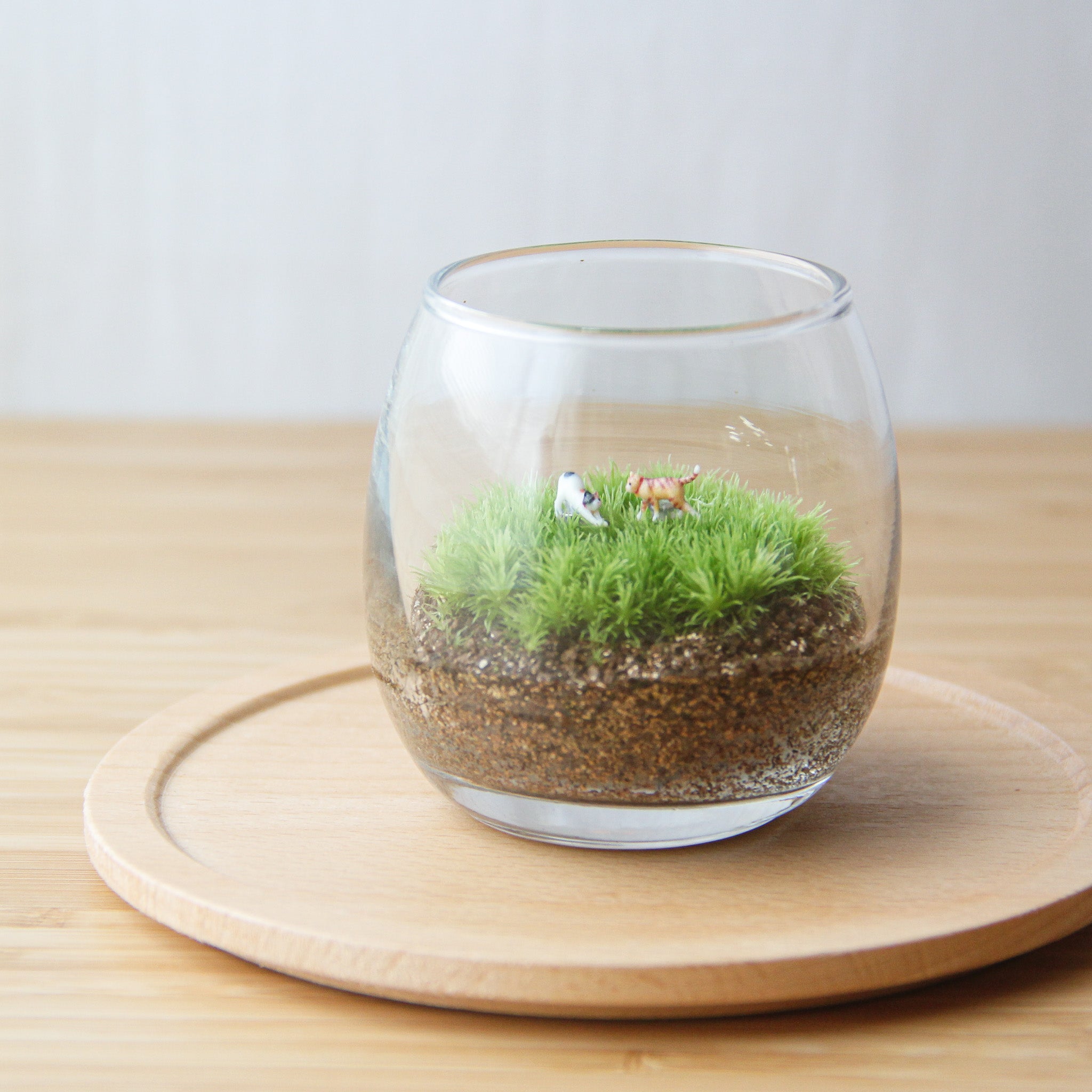 初めての方へ「おすすめ3選」 – 苔むすび