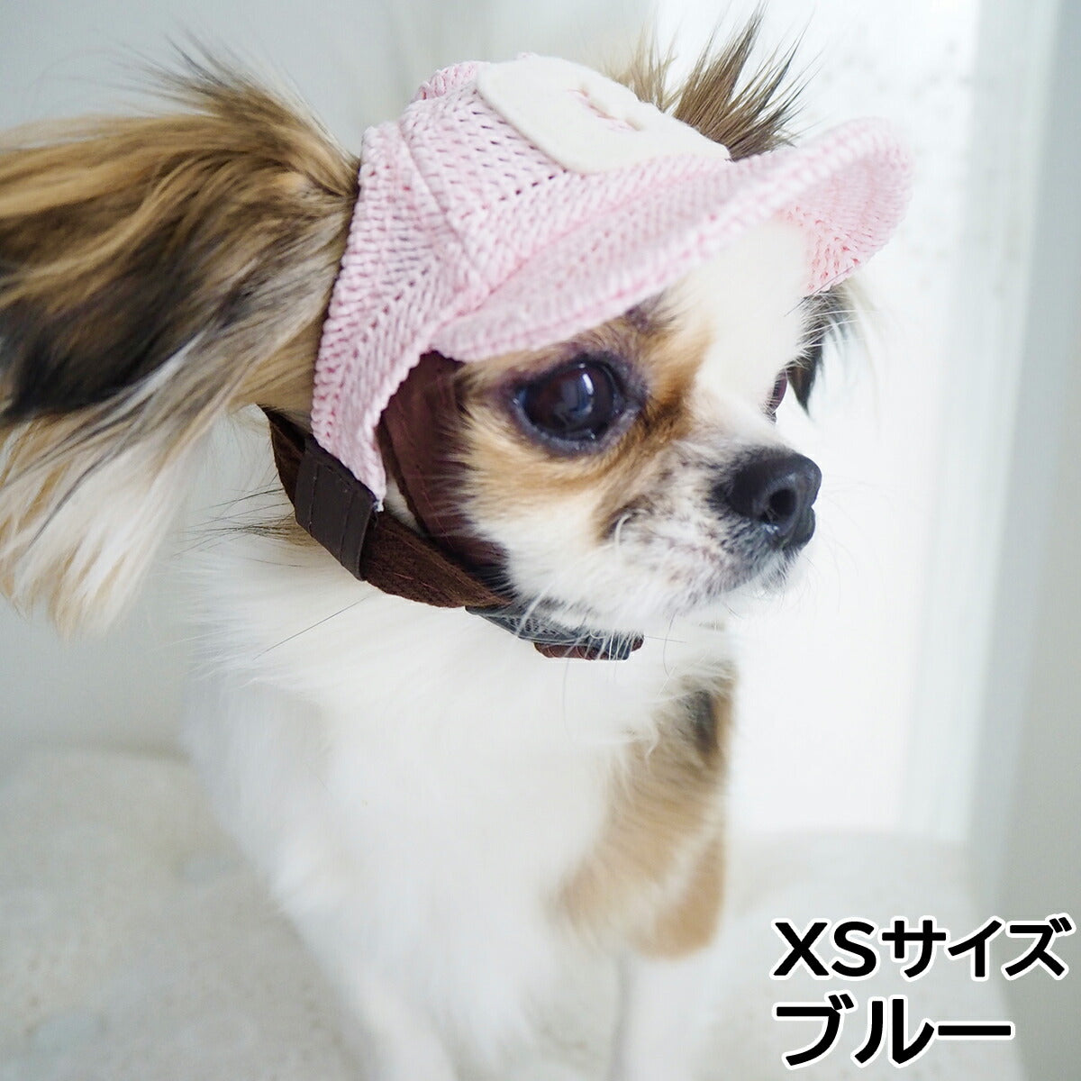 犬の帽子 ガーデンオブエデン メッシュCAP XSサイズ ブルー – ペットの