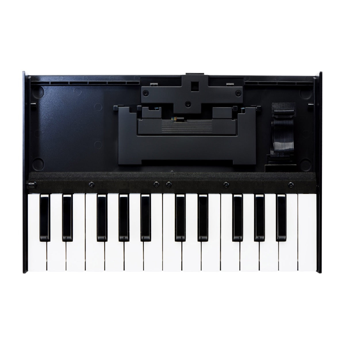 Roland Boutique K-25m Keyboard Unit – Kraft Music