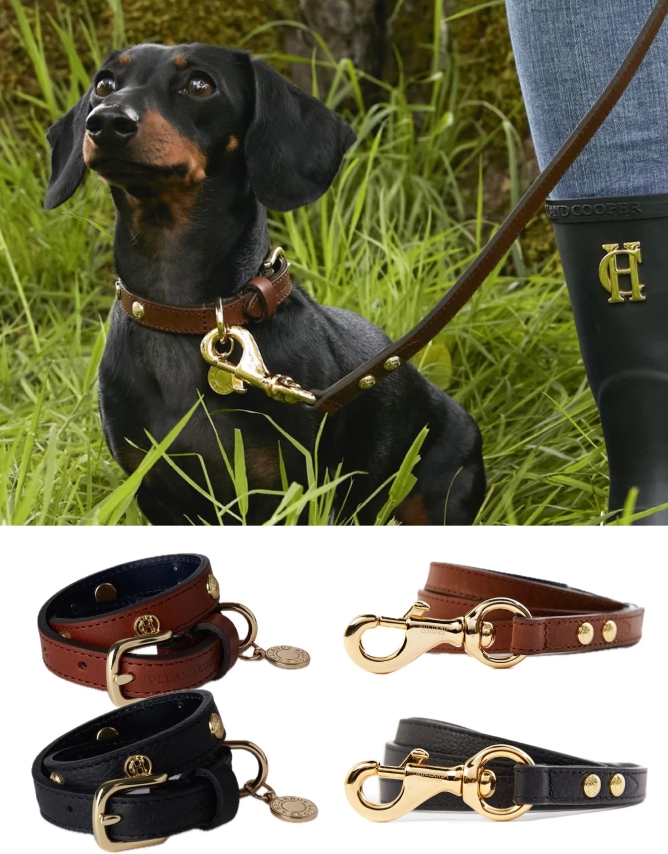 首輪&リード2点セット本革 小型犬用 スタッズ付き ブラウン/ブラック