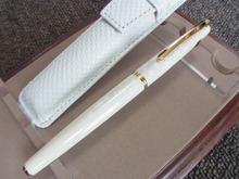 PILOT Lady White -Sakura- : ぺん☆ぱれーどっ！