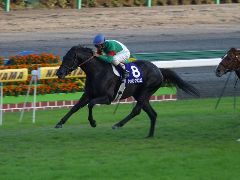 中古】JRA ヒーロー列伝ポスター NO.55 シンボリクリスエス 第126回