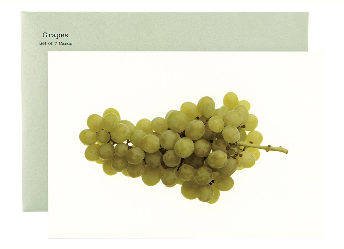 エンサイクロペディア シリーズポストカードセット – POSTALCO