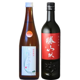 日本一の日本酒セット あたごのまつ ・勝山「献」（720ml×2）【セット