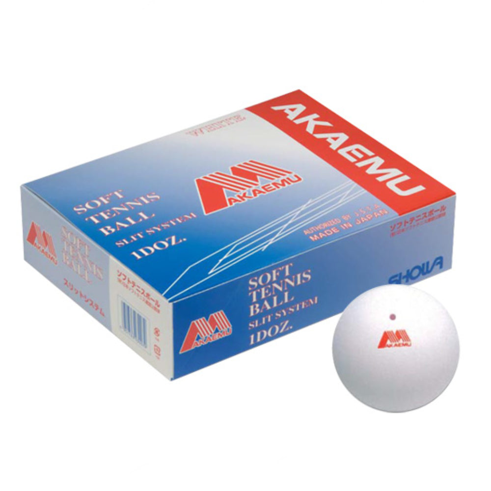 akaemu_a42b0b01-6d4e-460b-858d