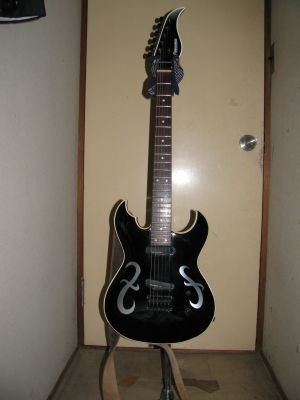 My Equipments 001. FERNANDES BT-110HH (E.Guitar) | 自殺志願者は