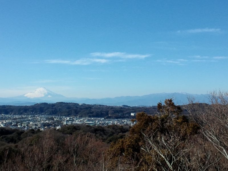 入手困難］張歩 冬 入手困難］張歩 冬 入手困難］張歩 冬 Yahoo