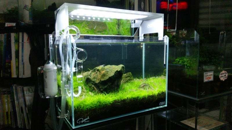 ADA ソーラー1 アクアスカイ361