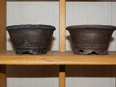 盆栽鉢 富舟 富舟さんの鉢 | みさきのミニ盆栽遊び