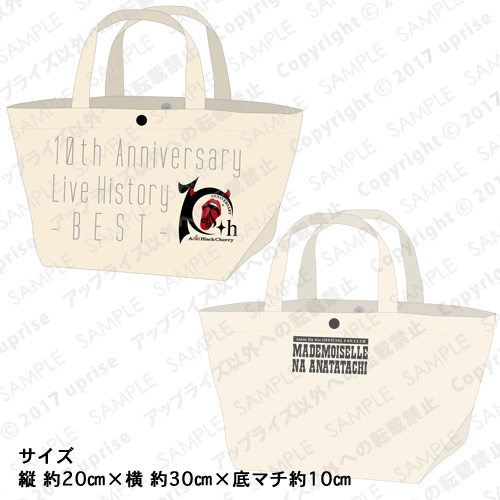 Acid Black Cherry トートバッグとポーチ写真集セット FILM LIVE tour 2025