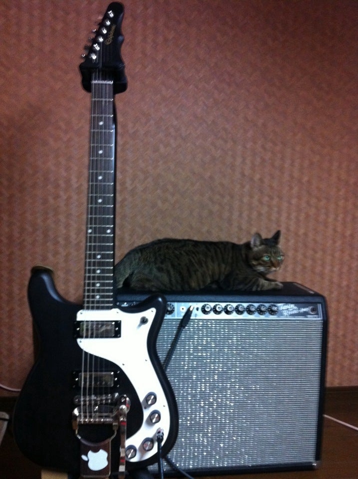 エピフォン ウィルシャーについて知りたい人へのブログ | 中嶌真平のブログ