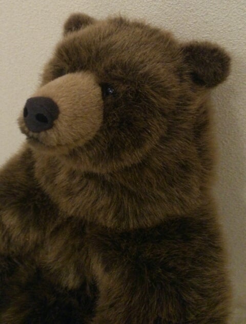 Kosen 限定300 Brown Bear“Maika”。 | nicoﾌﾞﾛｸﾞ。