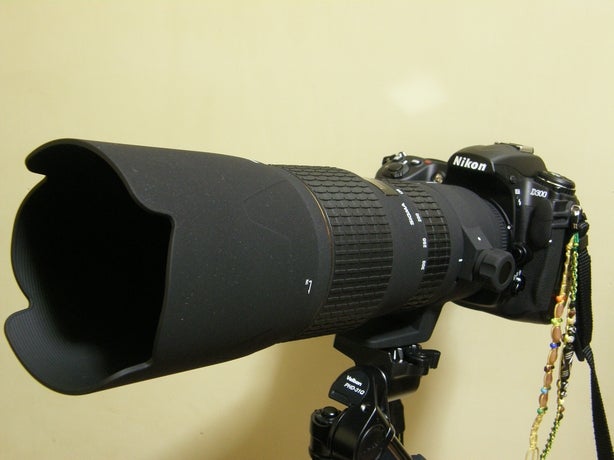 SIGMA 100-300mm F4 APO EX IF HSM 超望遠ズーム SIGMA 100-300mm F4