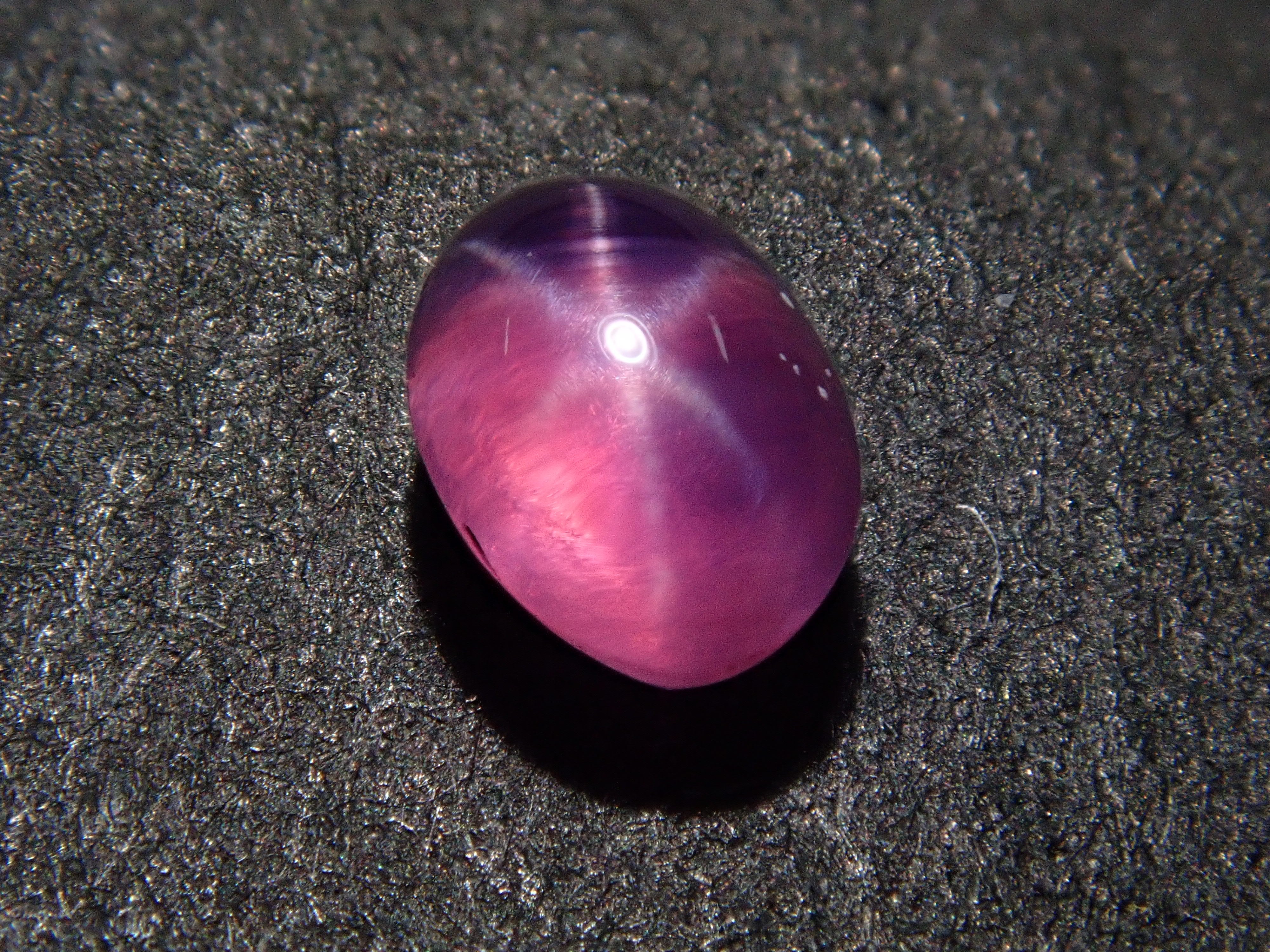 P4033439.jpg?v=1744027108&