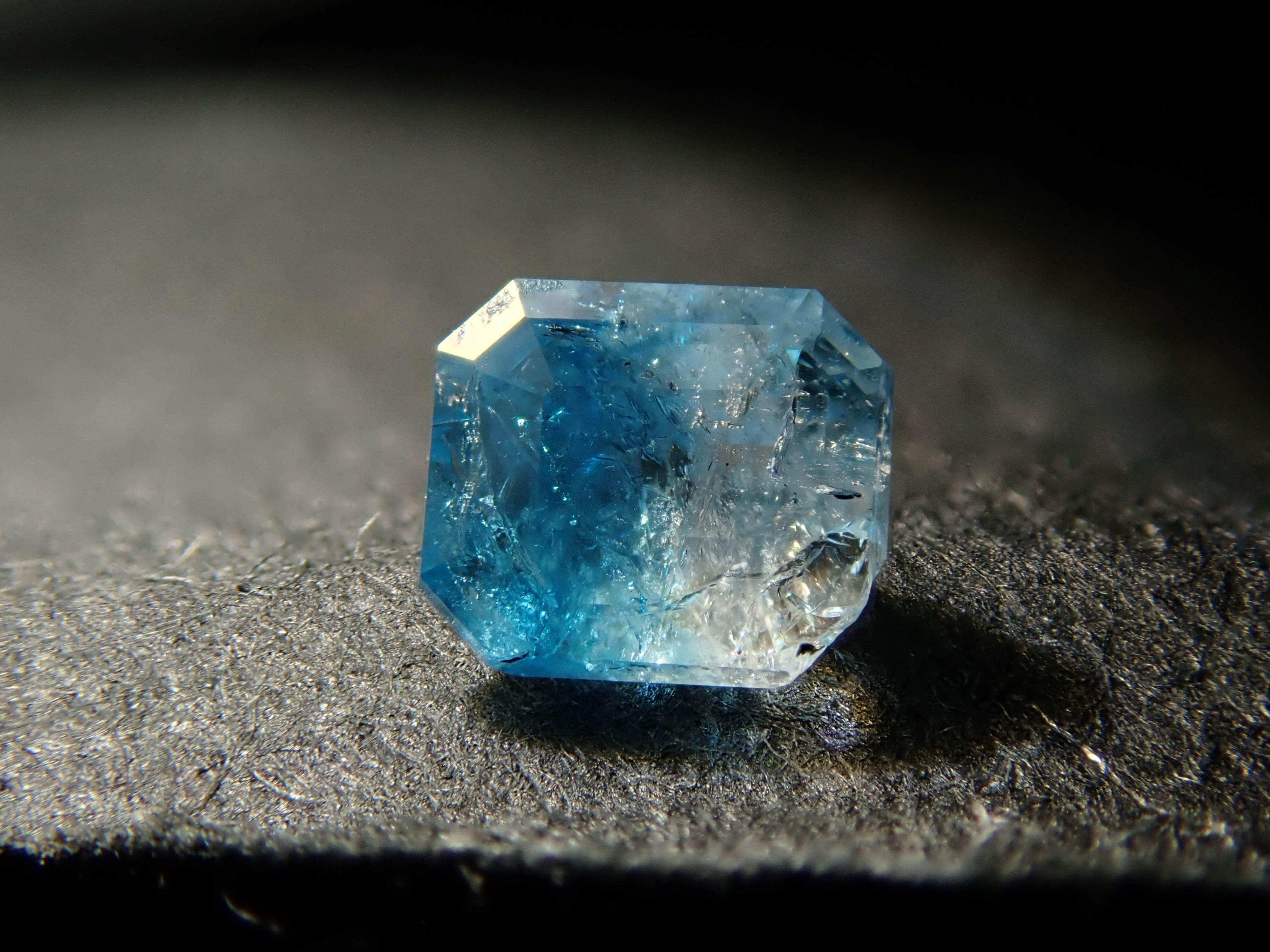 PC054054.jpg?v=1734856997&