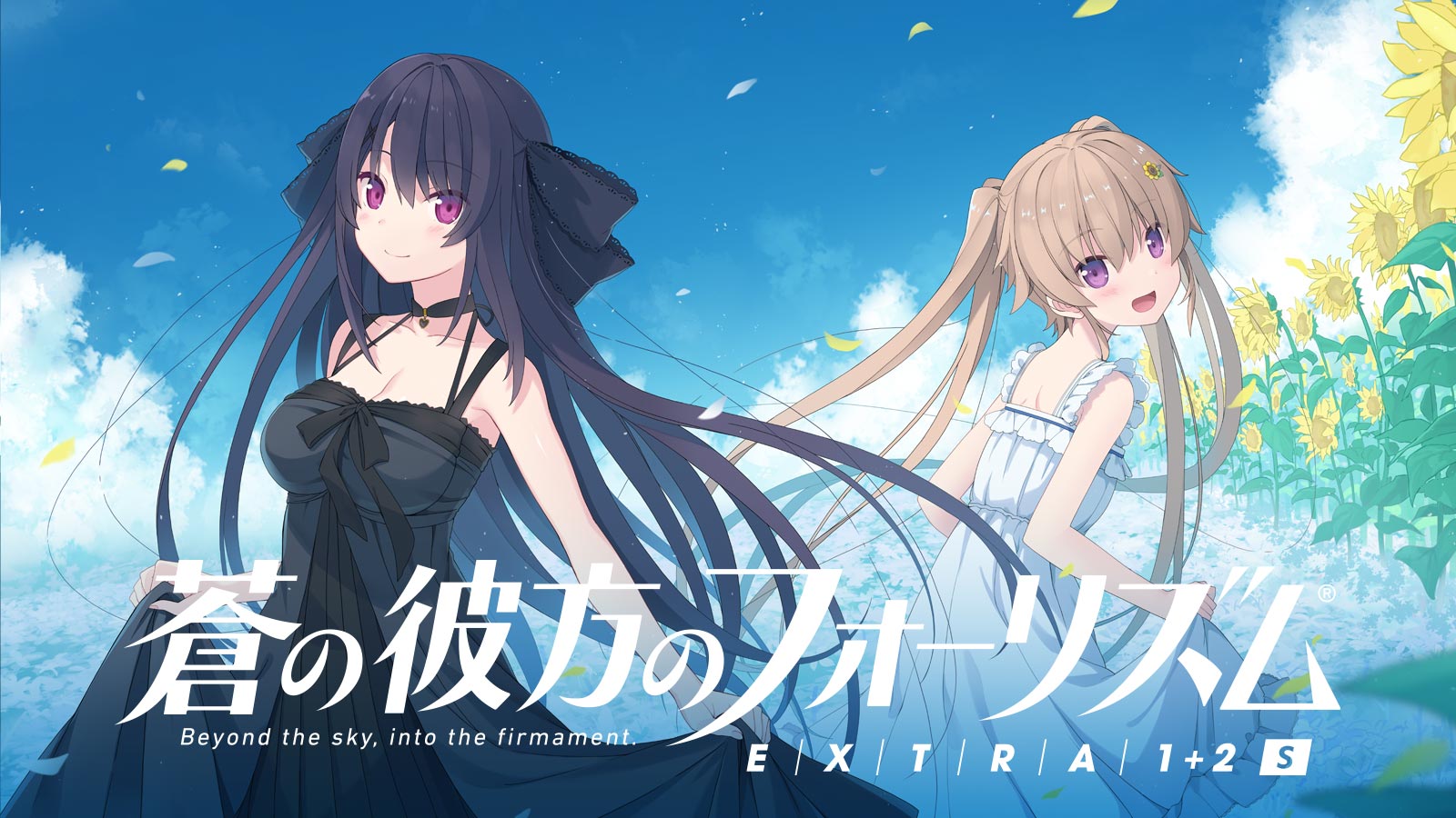 EX12s.jpg?crop=center&height=