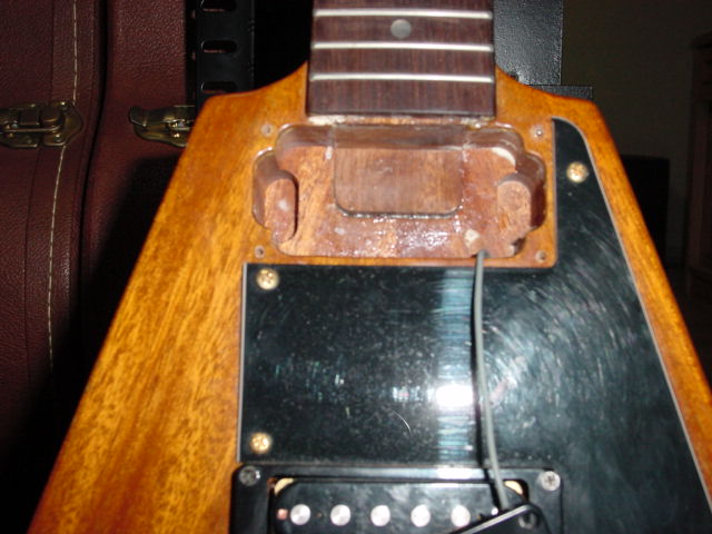 採集本能＠Guitars Brian Flying V