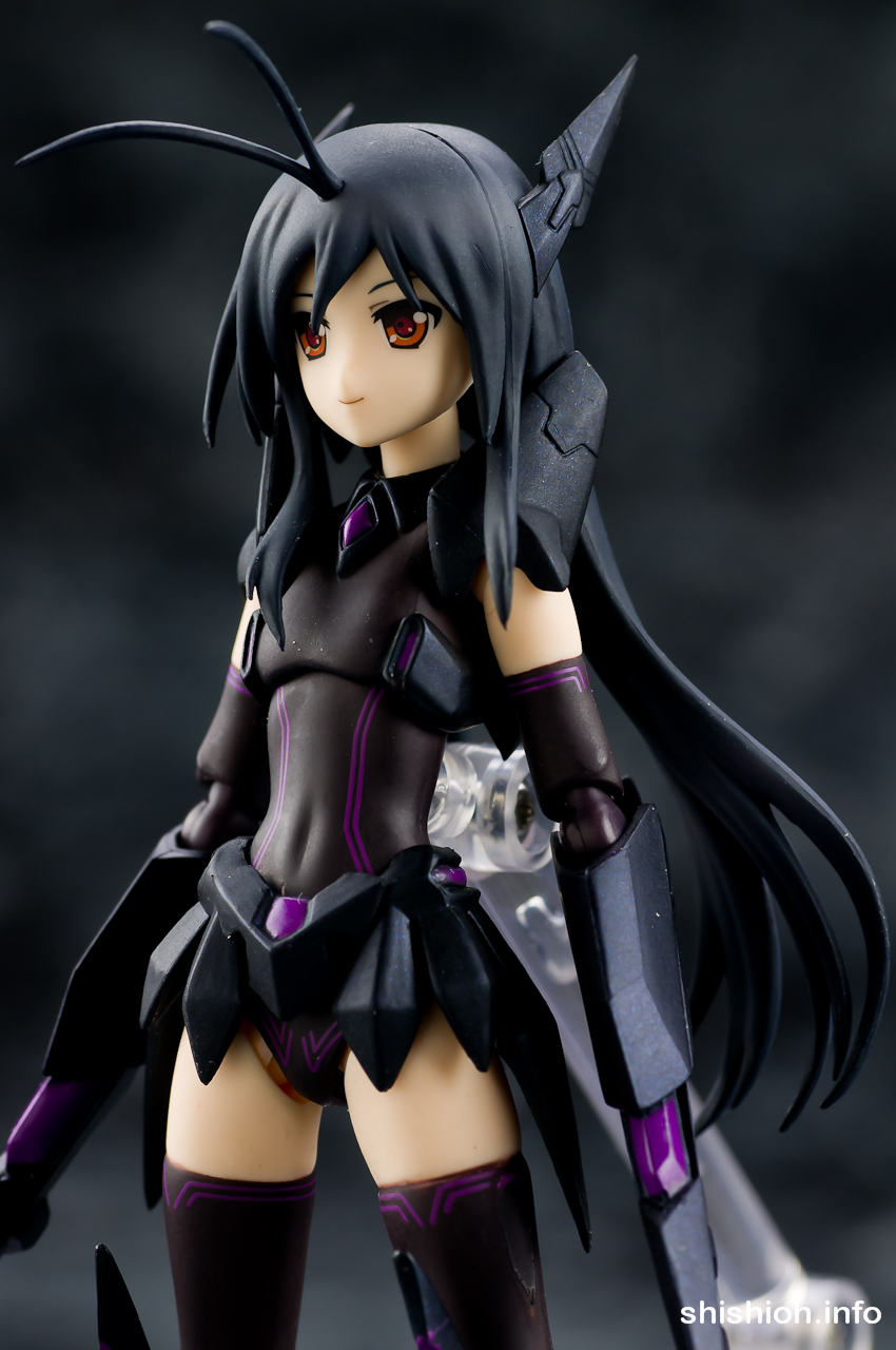 ヴァイス アクセルワールド 巡る思い 黒雪姫 SR ヴァイス アクセル