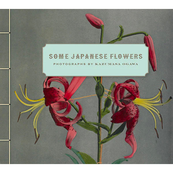 Some Japanese Flowers: Photographs by Kazumasa Ogawa - Getty