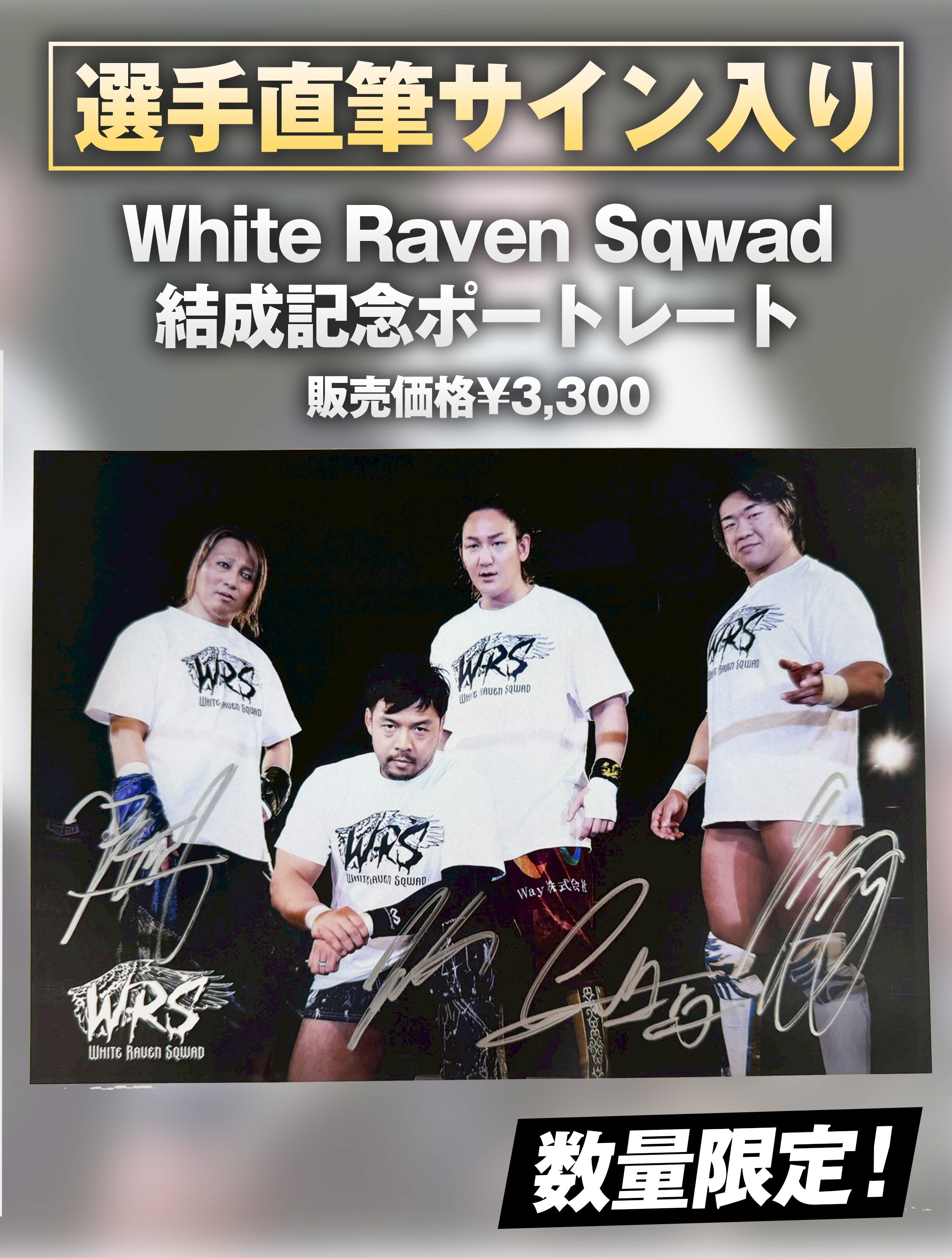 WHITESNAKE 直筆サイン入り 2013年 ツアーパンフレット WHITESNAKE