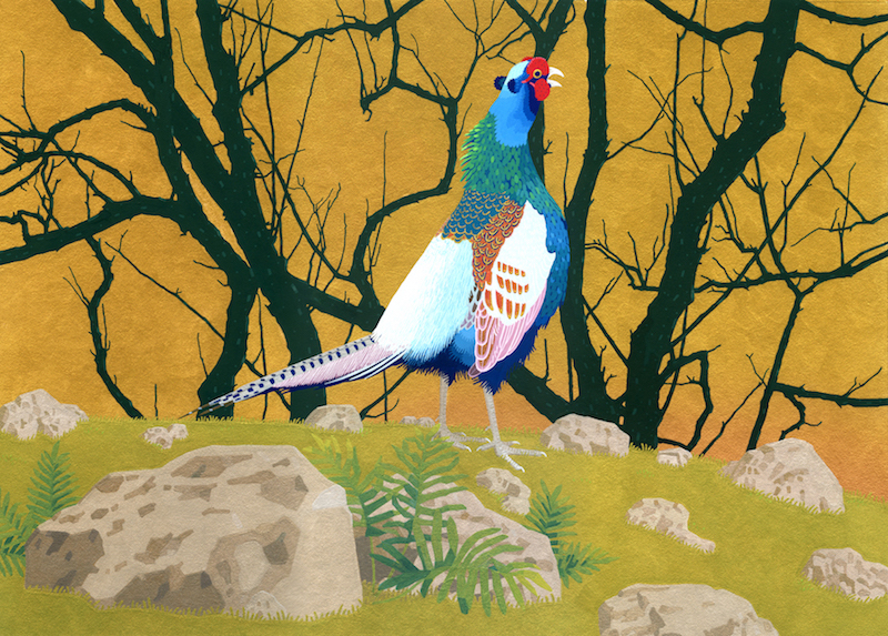 渡辺浮美生「森と水辺の光彩」－クリーンフィールド TOP