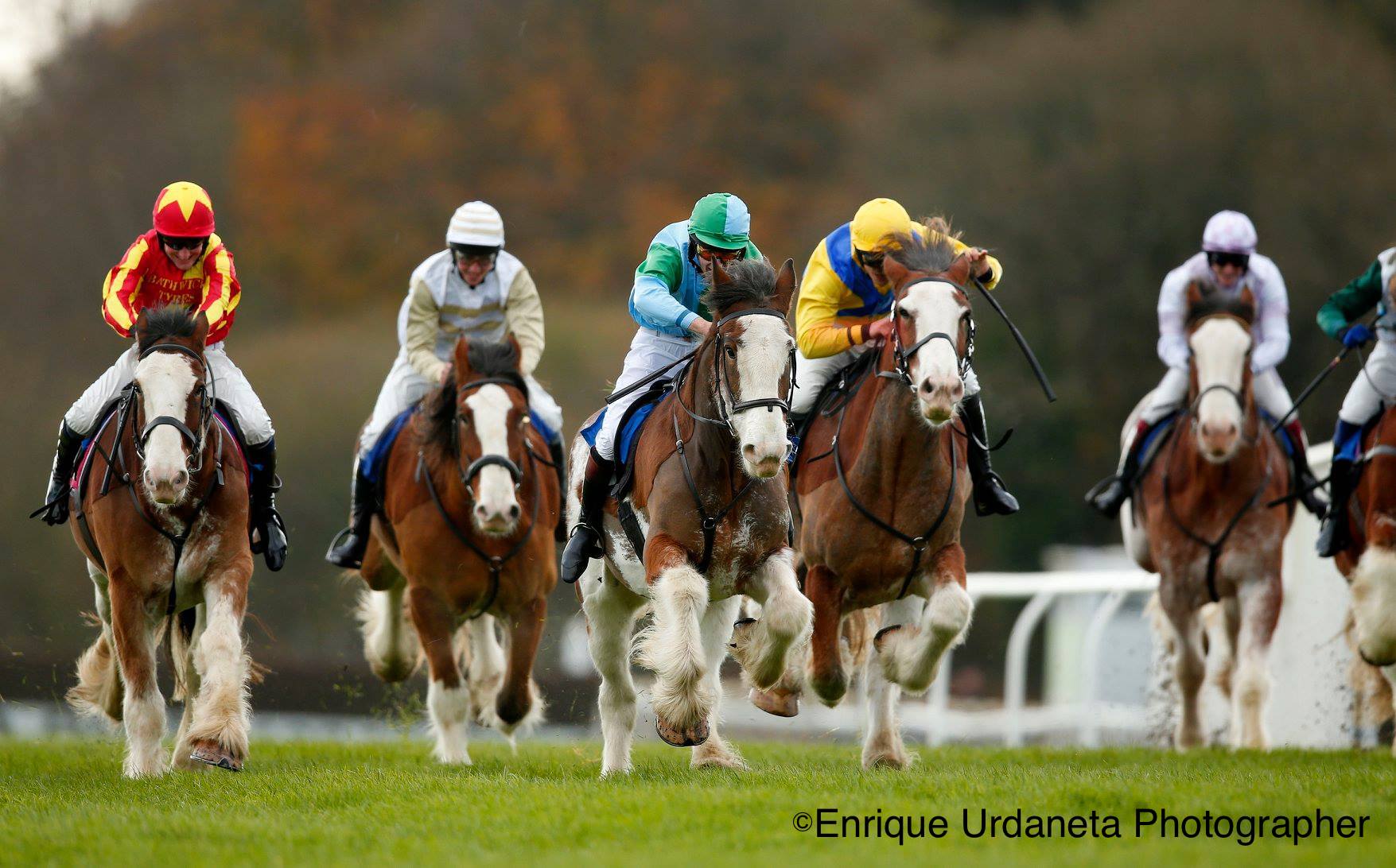 No.57 Racing Clydesdale | 東京クラシッククラブ