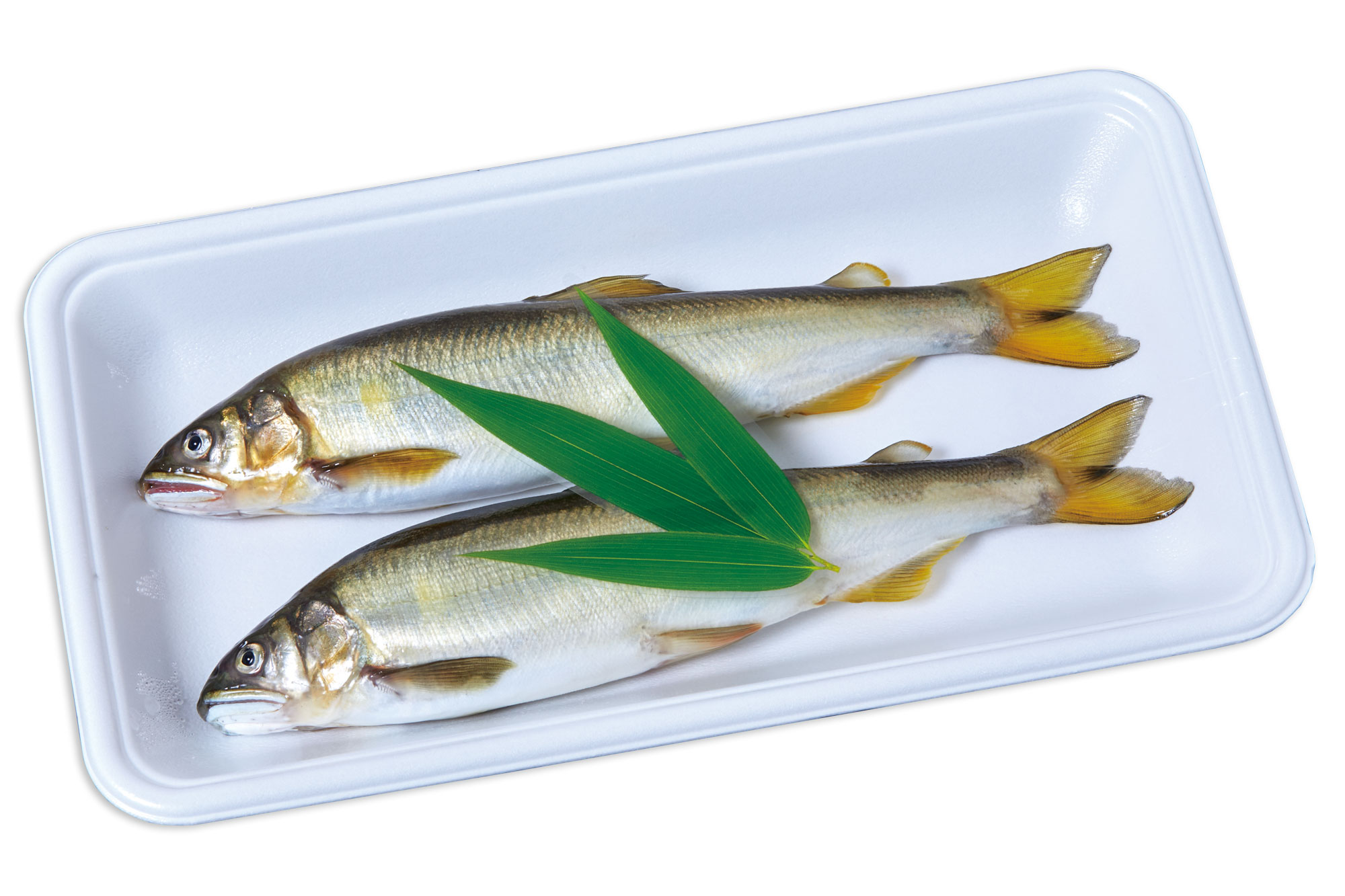 三枚笹 - ユニバース株式会社