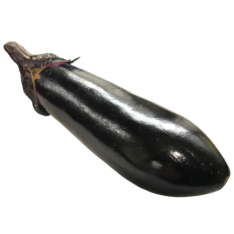 なすび(なす・ナス・茄子・eggplant)無料画像 – ベジタデジタ