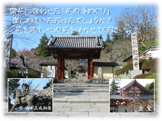 関西花の寺 「花お守り」