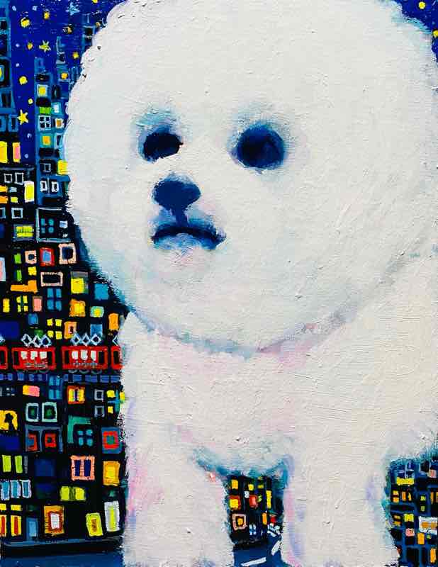 ビションフリーゼbichon frize|大谷太郎Otani Taro