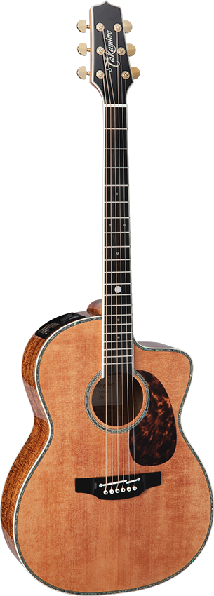 Takamine Guitar -60th Anniversary-