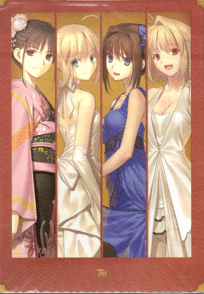 TYPE-MOON Fes.特大B0タペストリー セイバー 「From new world