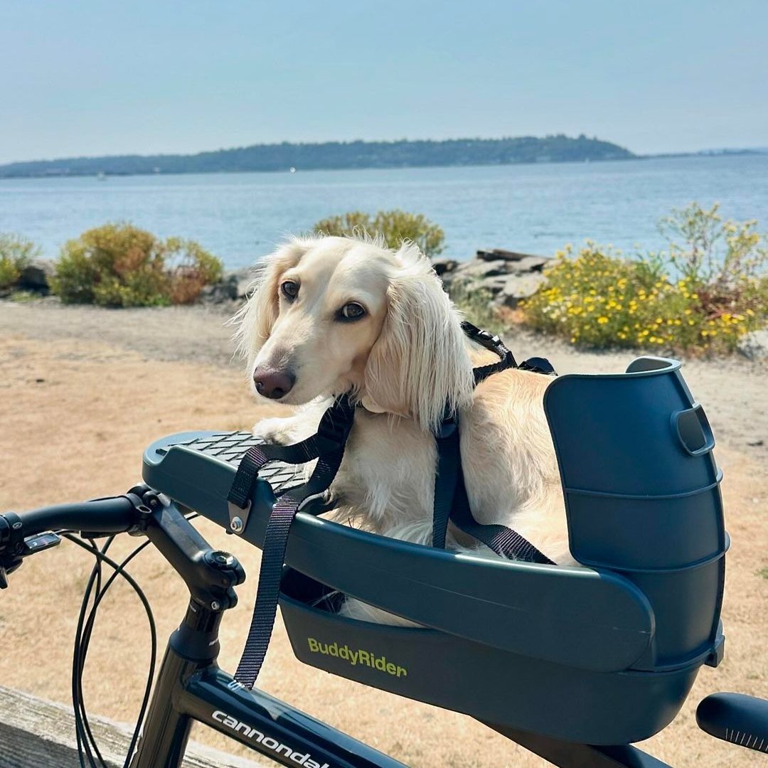 Buddyrider Series 2 Dog Bicycle Seat | Dog Bike Seat For Dogs Up