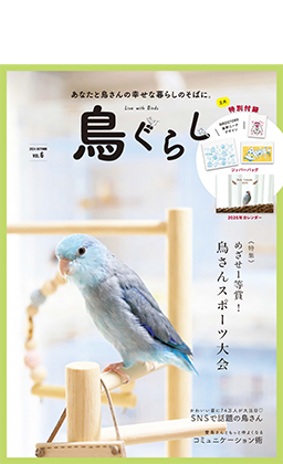 油絵 専用 小鳥さんのかくれんぼ1 見つけようとしている小鳥 油絵