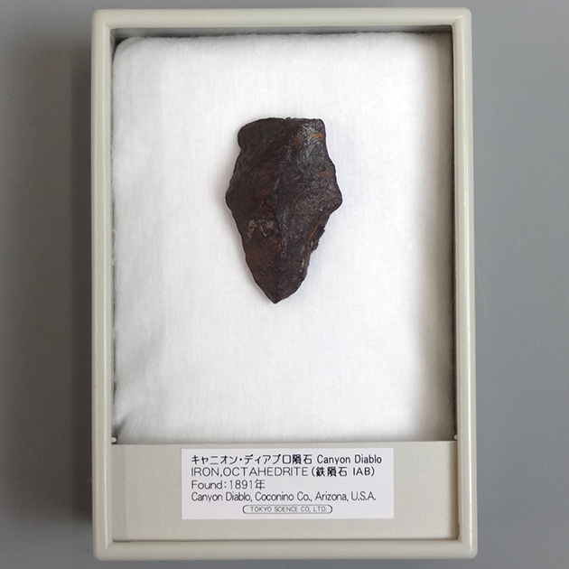 東京サイエンス キャニオンディアブロ大隕石2個 キャニオンディアブロ