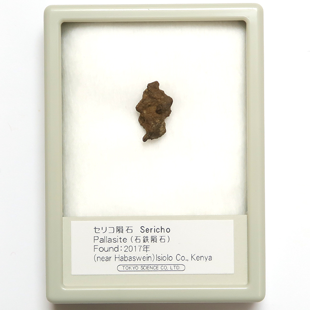 石鉄隕石｜化石販売・鉱物販売の東京サイエンス