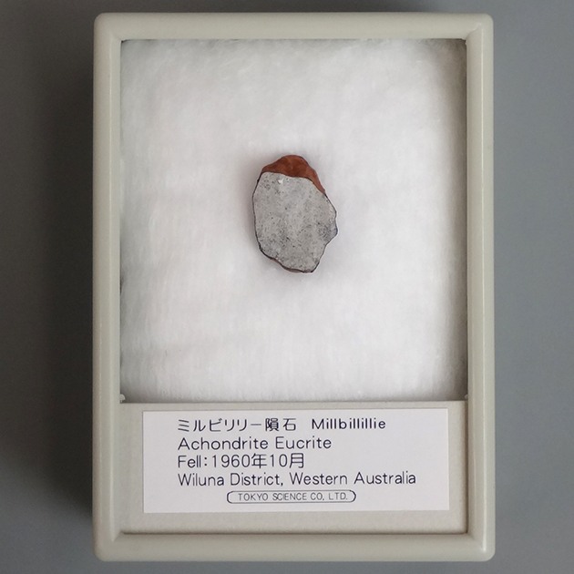 ミルビリリー隕石｜化石販売・鉱物販売の東京サイエンス