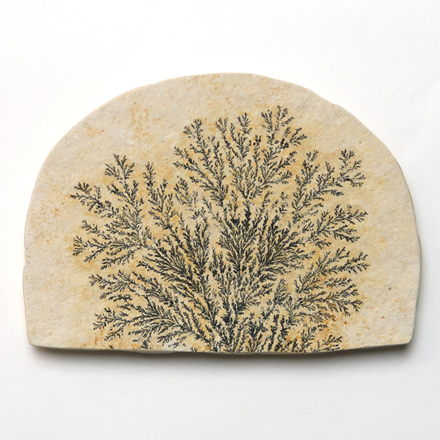 永久に枯れない樹木を封じ込めた石樹形石(しのぶ石) Dendrite